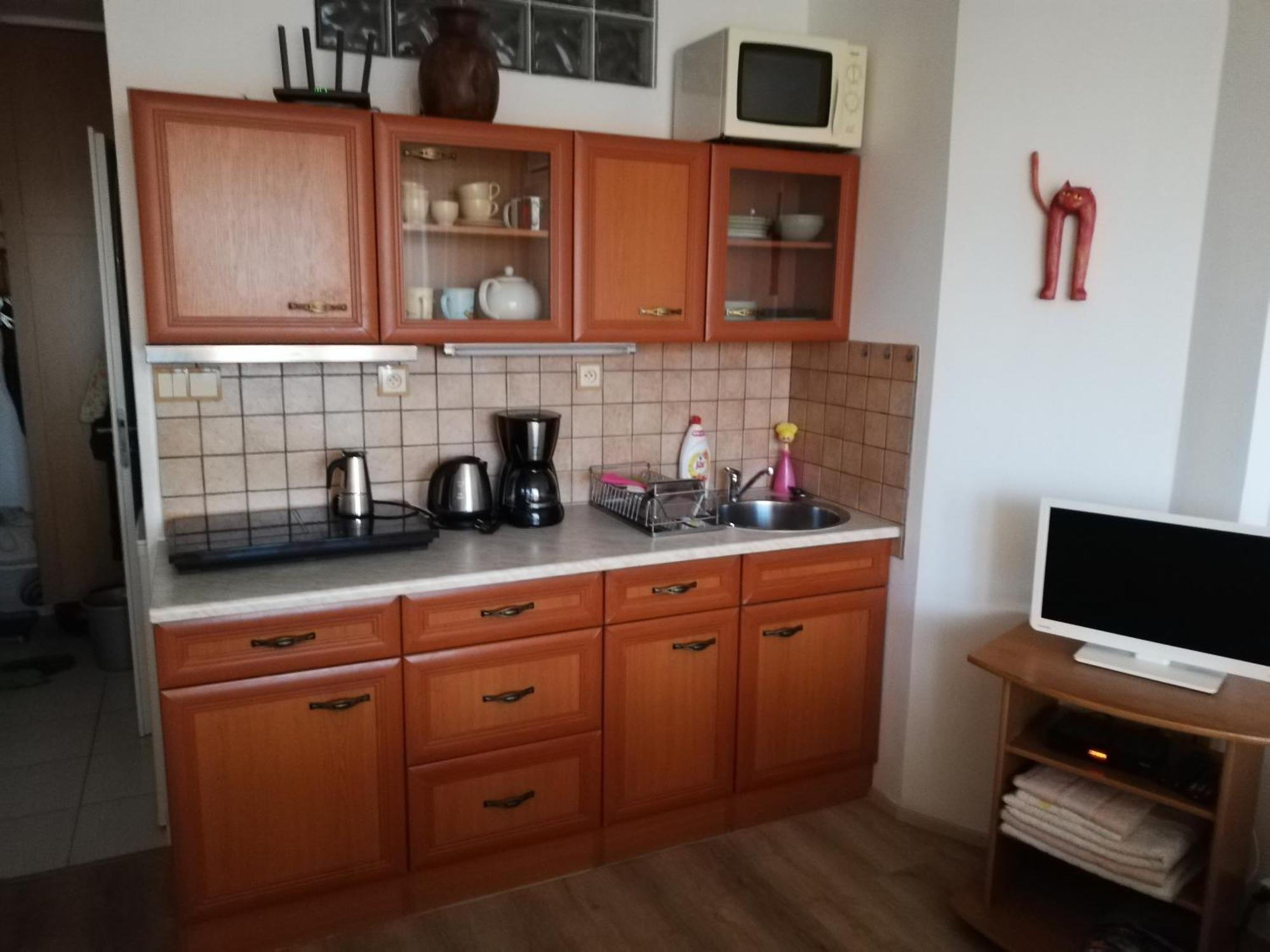 Apartment Terrace Studio Prague Center Prague