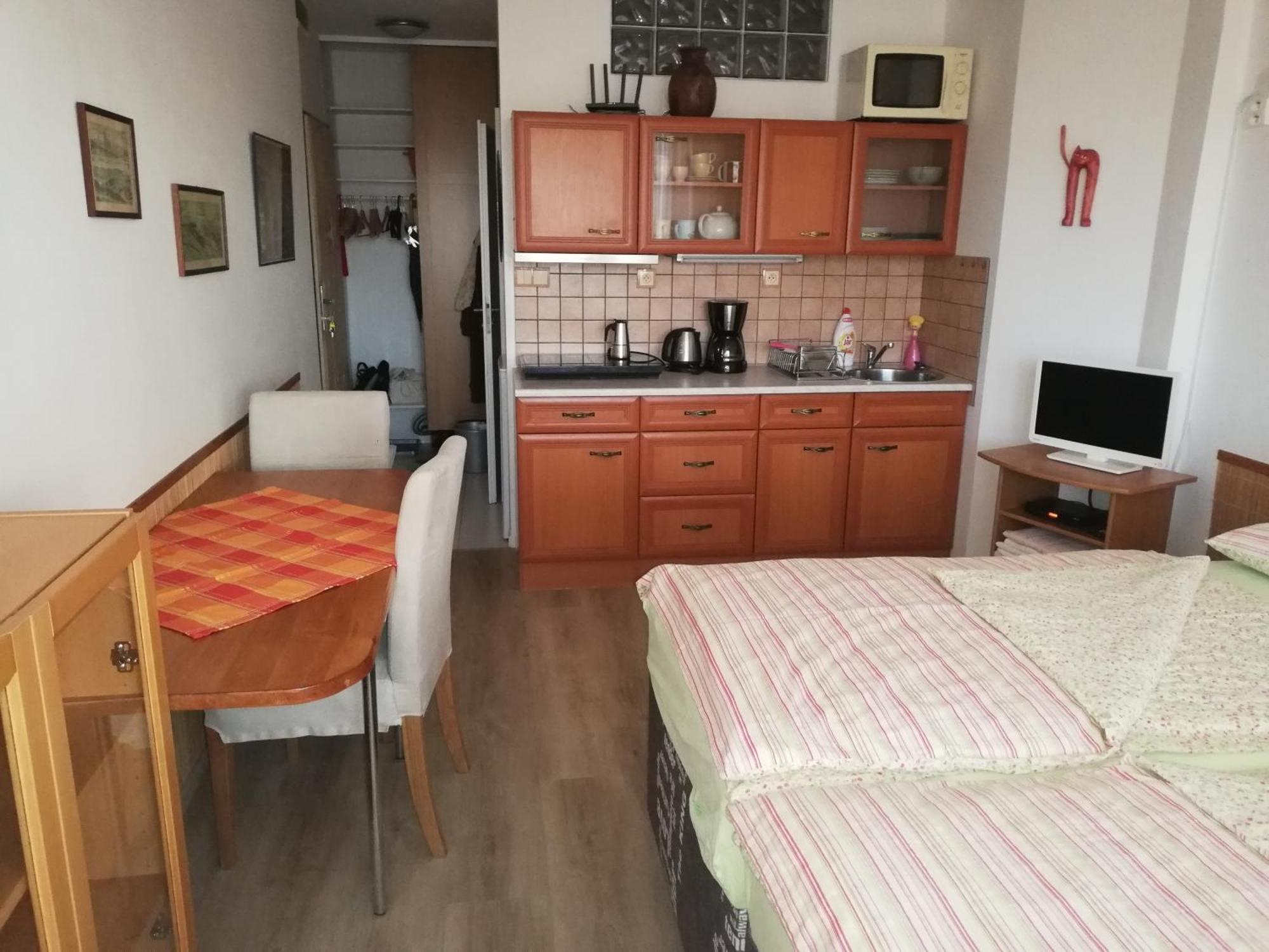 Apartment Terrace Studio Prague Center Prague